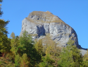 Cliquer pour agrandir l'image