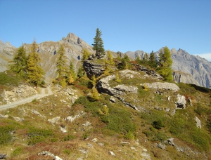 Cliquer pour agrandir l'image