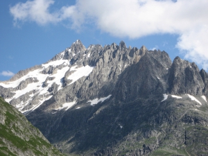 Cliquer pour agrandir l'image