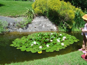 Un étang