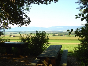 Point de vue sur le Jura et table de pique-nique, le long de la boucle L'arbre et la fourmi