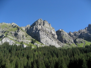 Cliquer pour agrandir l'image