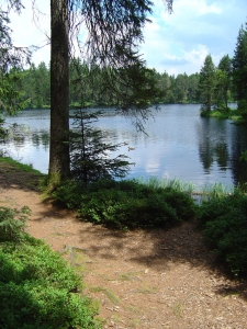 Le sentier longeant l'étang