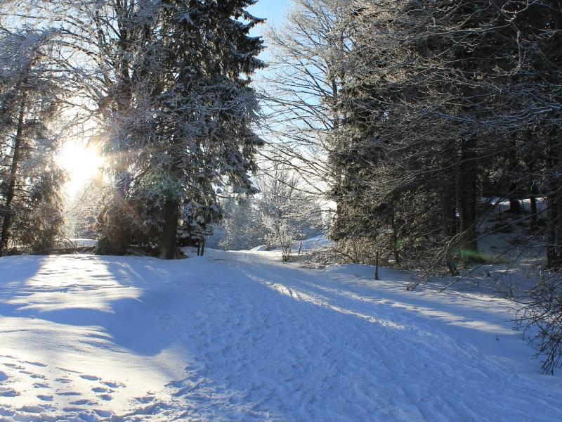 Marche sur neige de la Vue-des-Alpes à Tête de Ran