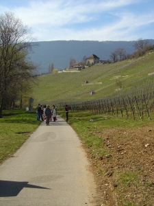 Vue sur l'abbaye de Bevaix