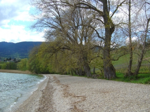 Une partie de la plage de la Pointe du Grain