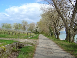 Chemin bordant la plage