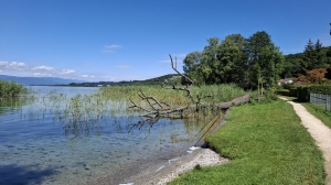 A Lüscherz, au bord du lac de Bienne