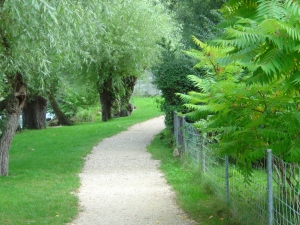 Le sentier longeant le lac