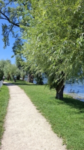 A Lüscherz