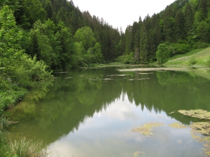 Etang de Bollement