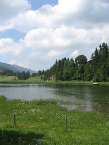 Lac de Lauenen