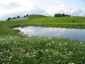 Etang