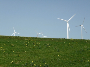 Eoliennes de Mont-Crosin