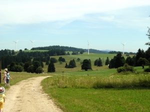 A l'arrière-plan, les éoliennes de Mont-Crosin