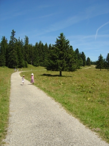 La partie goudronnée du Sentier