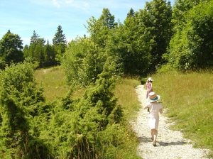 Le sentier dans le Parc Jurassien Vaudois