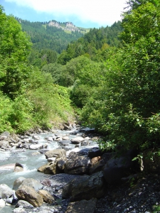 L'Avançon de Nant, au départ des Plans-sur-Bex