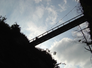 Variante depuis Frenières: le pont pédestre, entre Frenières-sur-Bex et Les Plans-sur-Bex