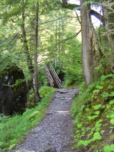 Un escalier sur le sentier pédestre