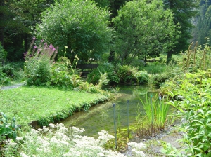 Jardin botanique alpin La Thomasia