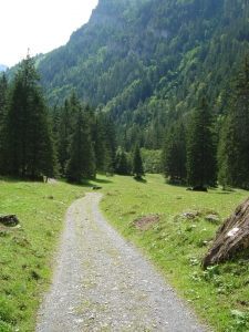 Le sentier, reliant Pont-de-Nant à l'alpage de Nant