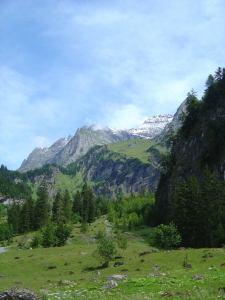 Depuis Pont-de-Nant