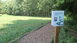 Le chemin didactique
