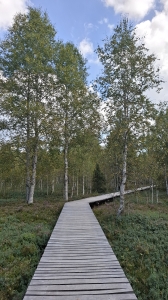 Les passerelles en bois accessibles aux personnes à mobilité réduite