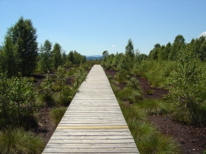 des tourbières à perte de vue