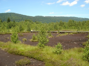 petit passage à découvert