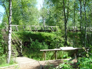 un petit pont pour prendre de la hauteur