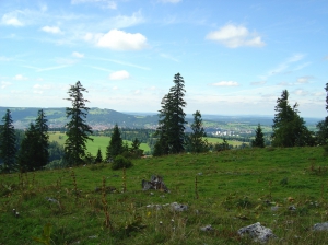 Vue sur La Chaux-de-Fonds