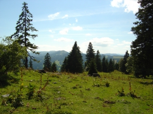 Paysage typique du Jura neuchâtelois