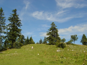 Petite montée, en début de parcours