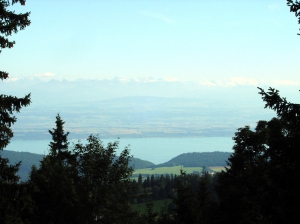 Vue sur le lac de Neuchâtel et les Alpes