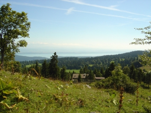 Vue sur le lac de Neuchâtel