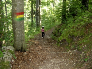 Le Sentier nature, peu après le départ