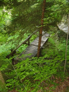 Petit pont sur le Sentier nature