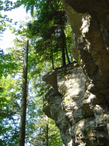 Rochers supportant des arbres 