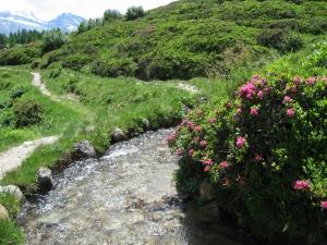 Sentier et bisse