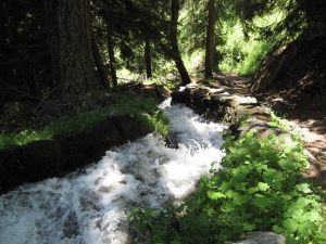 Descente le long d'un bisse