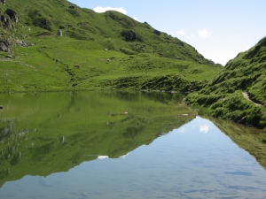 Lüsgersee