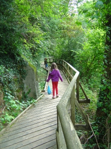 Passerelle en bois sur le Chemin des Présidents