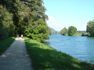 Partie ombragée du parcours