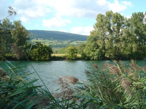 Vue sur le Chasseral depuis la rive droite du canal de la Thielle