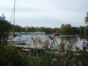 Le port du Vieux-Rhône