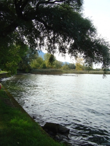 Bord du lac Léman, aux Grangettes