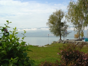 Vue sur le lac de Neuchâtel depuis la buvette du port d'Yvonand