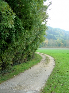 Le chemin caillouteux à travers champs